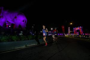 BIB: 
                            <button type="button" onclick="openModal(26552542)" class="btn btn-primary btn-sm float-right btn-popup" data-toggle="modal" data-target=".modal-high-quality">
                        <i class="fas fa-shopping-cart"></i> Add to Cart
                    </button>
                                            <button type="button" onclick="isThisMe(26552542, true)" class="btn btn-success btn-sm float-right btn-popup btn-isme hidden" data-toggle="tooltip" data-placement="bottom" title="นี่คือรูปของคุณใช่ไหม คลิกที่นี่เพื่อเอาเข้าอัลบั้ม">
                        <i class="fas fa-plus"></i> Add to album
                    </button>
                    <button type="button" onclick="isThisMe(26552542, false)" class="btn btn-warning btn-sm float-right btn-popup btn-isnotme hidden">
                        <i class="fas fa-ban"></i> Remove from album
                    </button>